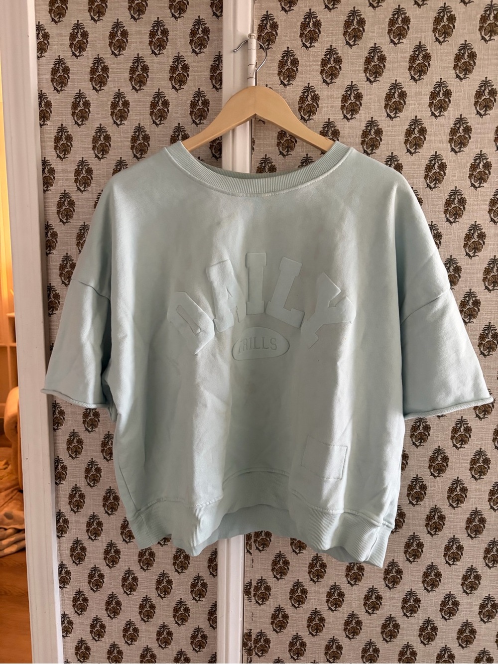 Daily Drills Lake Day Short-Sleeve Boxy Crew Sweatshirt